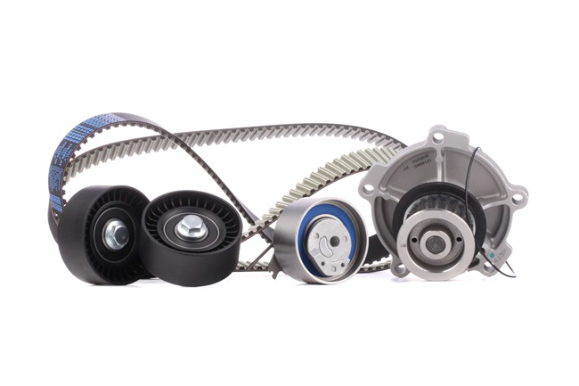RIDEX 3096W0187 Timing belt and water pump LDV Maxus Van 2.5 D 95 hp Diesel 2007