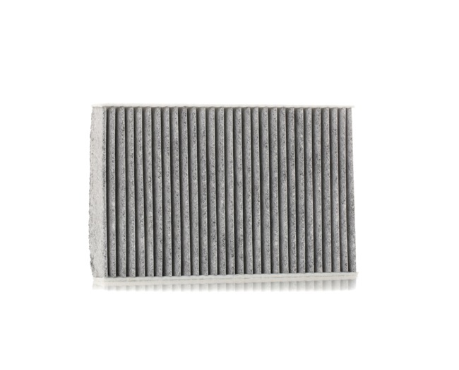 RIDEX 424I0421 cabin filter RENAULT Fluence (L3_) 1.6 16V 110hp 2010