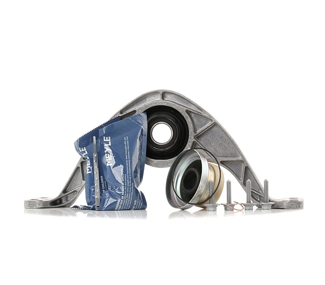 Número OEM 5N0 521 101 E - Soporte de cardán 100 151 0100/S MERCEDES-BENZ, SEAT, AUDI, SKODA, JEEP