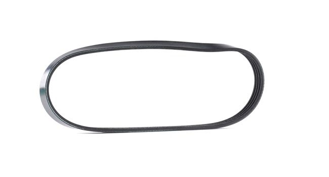 Correia trapezoidal estriada 3318100900 JP GROUP FIAT Panda I Hatchback (141) 1.0 1986 44 cv