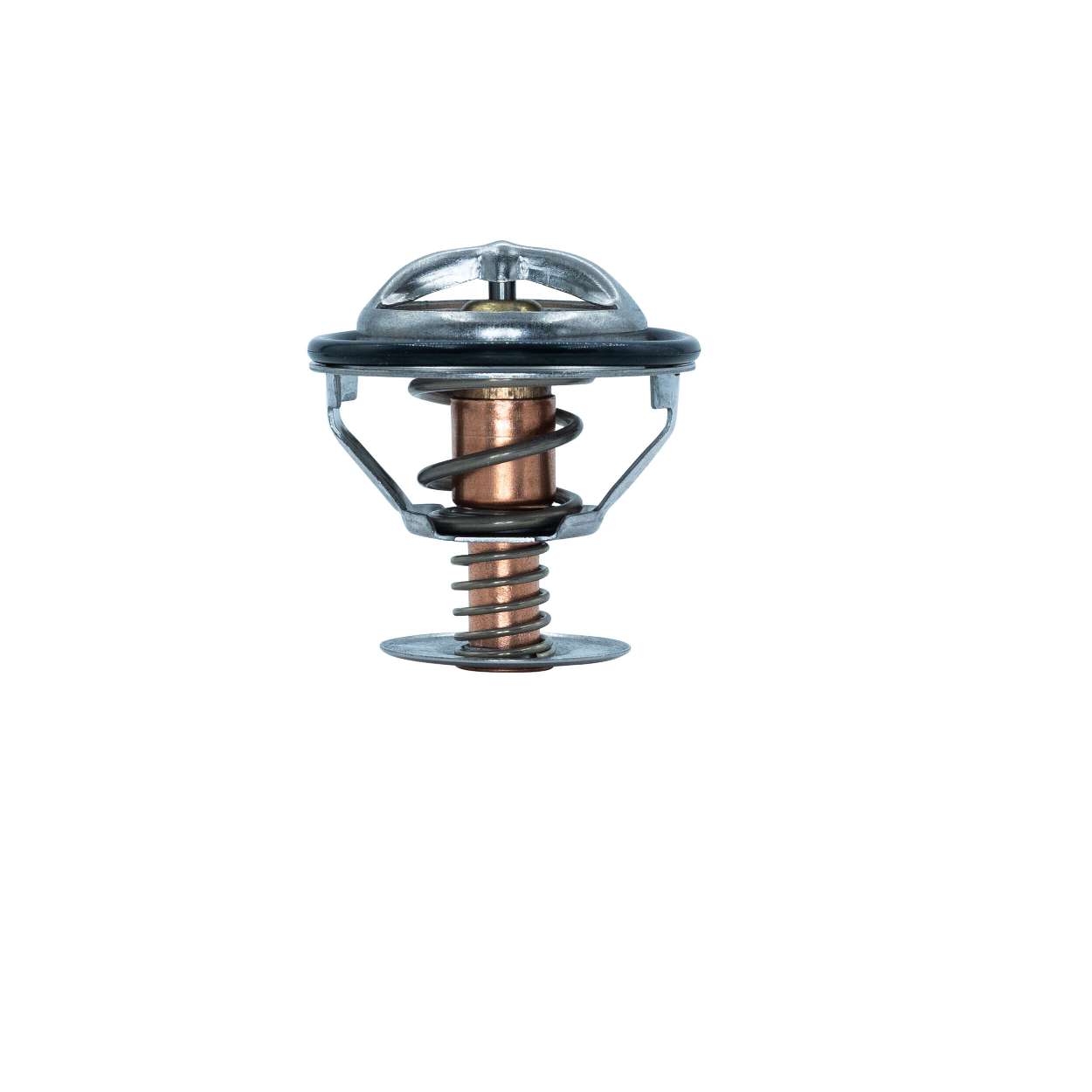 Kühlwasserthermostat 592-82K MOTORAD FORD Fiesta Mk4 Schrägheck (JAS, JBS) 1.0 i 2002 65 PS