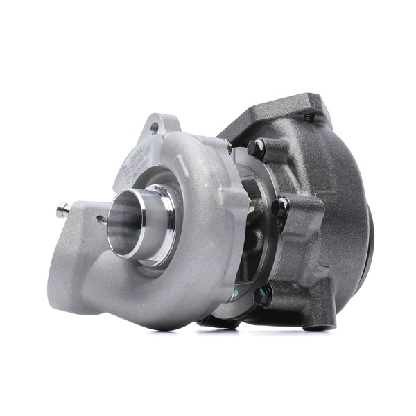 Numéro OEM 49E90-35209 - Turbocompresseur 10900202 BMW, MITSUBISHI, ALPINA