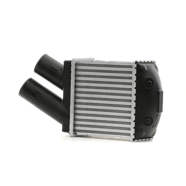 STARK SKICC-0890060 intercooler RENAULT Scénic I (JA0/1, FA0) 1.9 dTi 98CV 2000