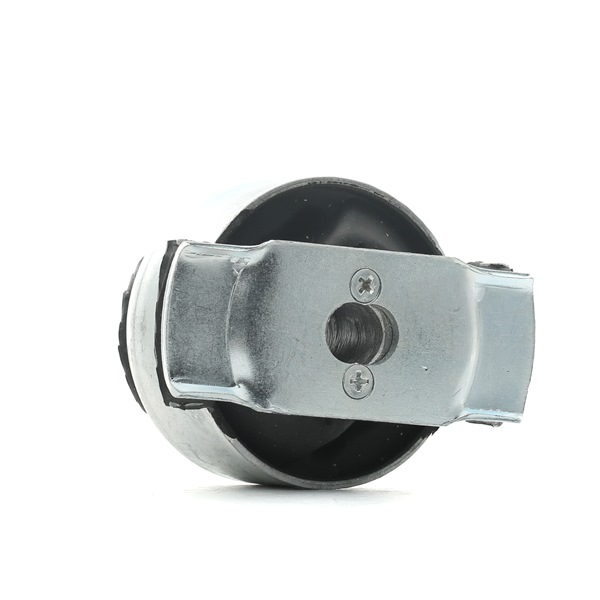 RIDEX 1080M0002 axle bushes RENAULT Laguna II Hatchback (BG) 1.6 103hp 2001