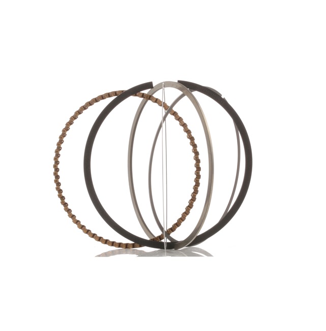 RIDEX 444P0009 piston rings PEUGEOT 306 Hatchback 2.0 S16 163hp 1999