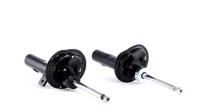 RIDEX 854S1764 shock absorber PEUGEOT Partner Origin Van (G_) 1.9 D 69hp 2009