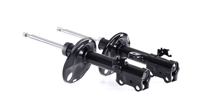 Federbein 854S1774 RIDEX VW Passat B5 GP Variant (3BG, 3B6) 1.9 TDI 2000 130 PS