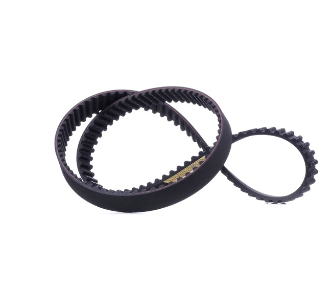 Numer OEM 032 109 119 - Pasek rozrządu 306T0200 AUDI, SEAT, CUPRA