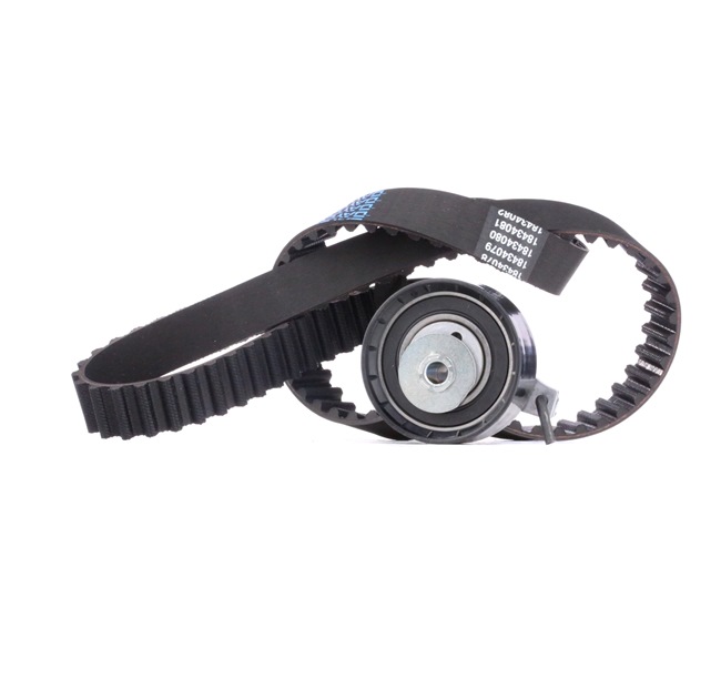 Numéro OEM 1 672 144 - Kit de distribution 307T0059 FORD
