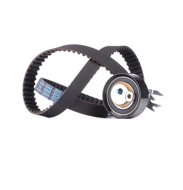 OEM-nummer N 011 558 11 - Distributieriem set 307T0080 VW, AUDI, SKODA, SEAT, ALFA ROMEO