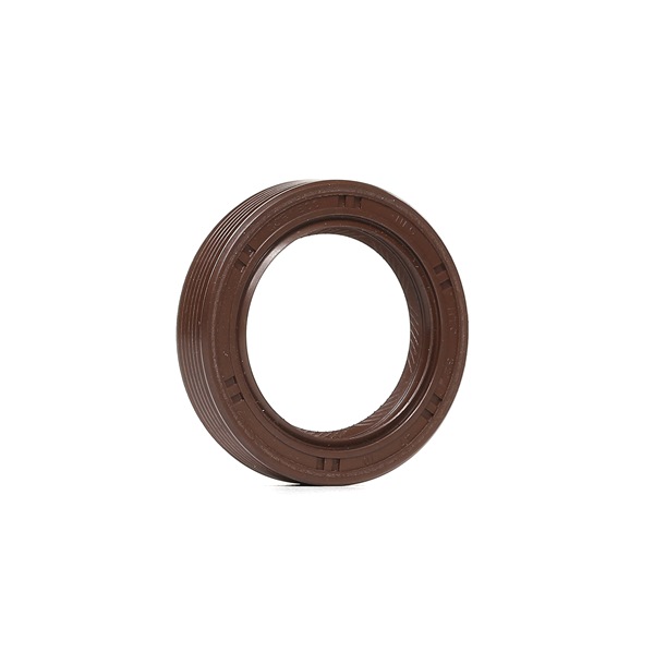 Paraolio albero a camme B18729 Borsehung Volkswagen Touran I (1T1, 1T2) 2.0 TDI 2005 140 CV