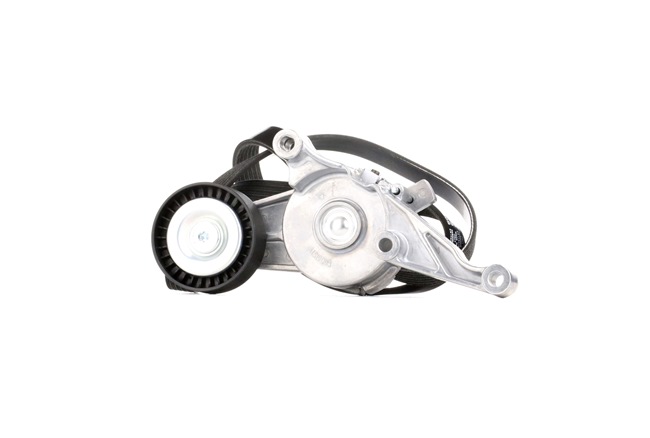 Kit Cinghie Poly-V 542R0007 RIDEX Volkswagen Touran I (1T1, 1T2) 2.0 TDI 2008 140 CV