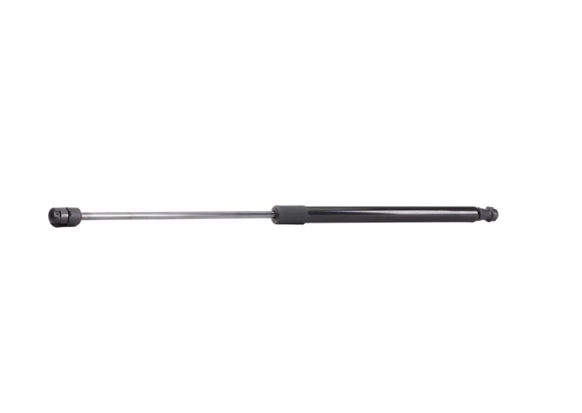 RIDEX 219G0446 boot struts FIAT Bravo II Hatchback (198) 1.6 D Multijet (198AXH1B) 105hp 2007