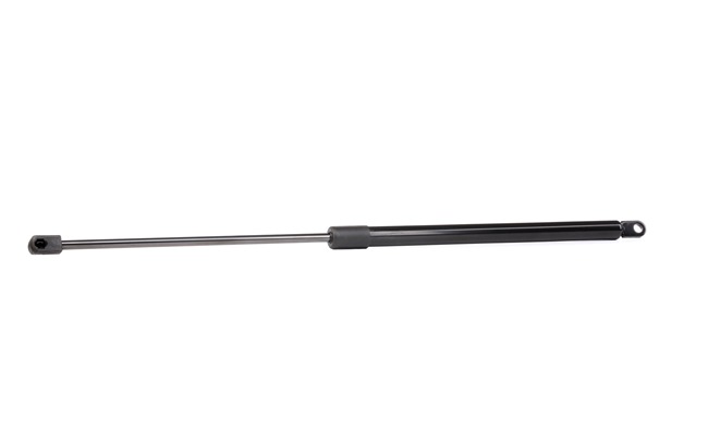 RIDEX 219G0453 Boot struts ALFA ROMEO 33 (905) 1.3 86 hp Petrol 1989