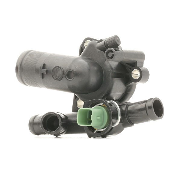 RIDEX 316T0124 Renault Laguna 2 engine thermostat replacement cost
