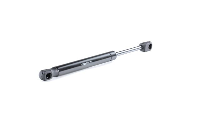 Kofferraum Dämpfer 219G0696 RIDEX VOLVO S80 II (AS, 124) 2.0 T5 2010 241 PS