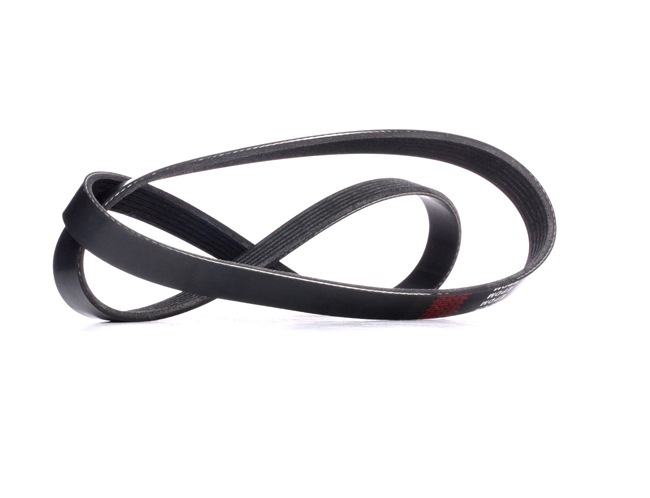 RIDEX | Correia Trapezoidal Estriada 305P0341 TOYOTA RAV4 III SUV (XA30) 2005 baratos online