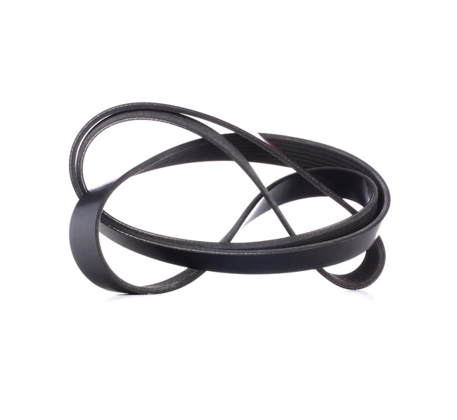 Correia trapezoidal estriada 305P0347 RIDEX HONDA Accord VII Sedan (CL, CN) 2.0 2004 155 cv