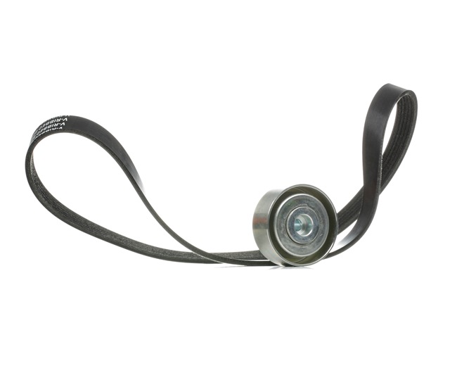 Rippenriemen 542R0003 RIDEX CITROËN C3 II (SC) 1.4 HDi (SC8HZC, SC8HR0, SC8HP4) 2010 68 PS
