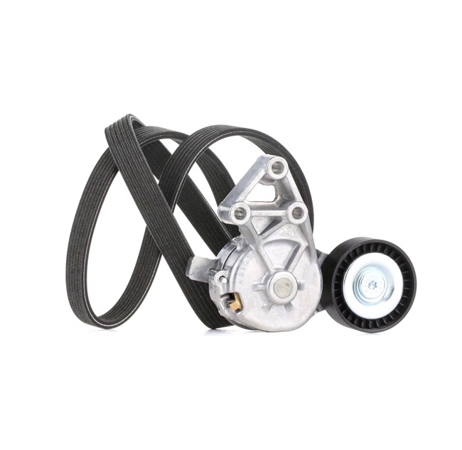 Kit Cinghie Poly-V 542R0004 RIDEX Volkswagen Polo V Hatchback (6R1, 6C1) 1.2 2011 70 CV
