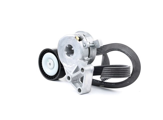Número OEM 06A 903 315 E - Jogo de correias trapezoidais estriadas 542R0015 VW, AUDI, SEAT, SKODA, PORSCHE