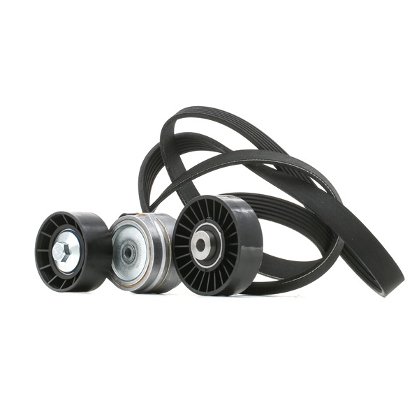 Numéro OEM 71 719 394 - Jeu de courroies trapézoïdales à nervures 542R0028 RENAULT, BMW, OPEL, FIAT, TOYOTA