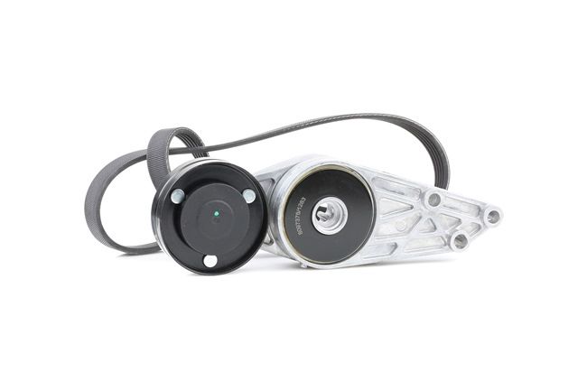 542R0031 RIDEX 058903133D V-Ribbed Belt Set