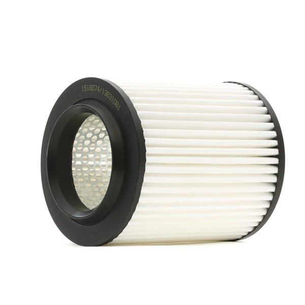 RIDEX 8A0607 Filtre à air Audi A8 D3