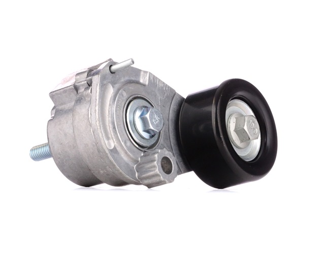online RIDEX Spannrolle 310T0140 Fiat 46,96 € im Online-Shop kaufen