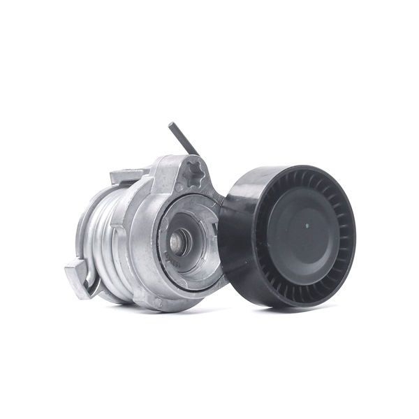 Rolo tensor, correia trapezoidal estriada 310T0141 RIDEX BMW 7 (E65, E66, E67) 735 i, Li 2001 272 cv