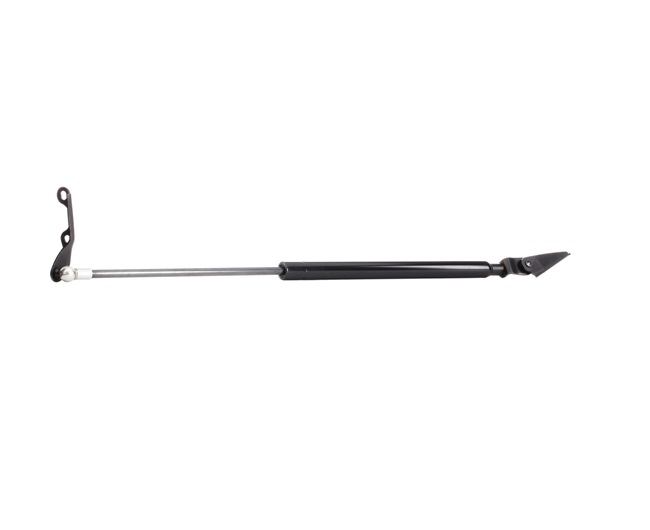 kopen online RIDEX Kofferbakveer 219G0421 Toyota 8,89 €