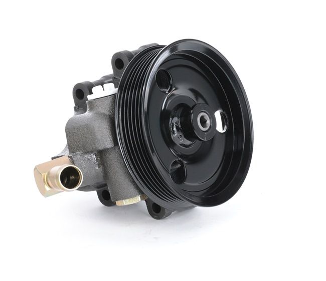 Elektrische Servopumpe 12H0083 RIDEX FORD Focus Mk1 Schrägheck (DAW, DBW) 1.6 16V Flexifuel 2003 102 PS