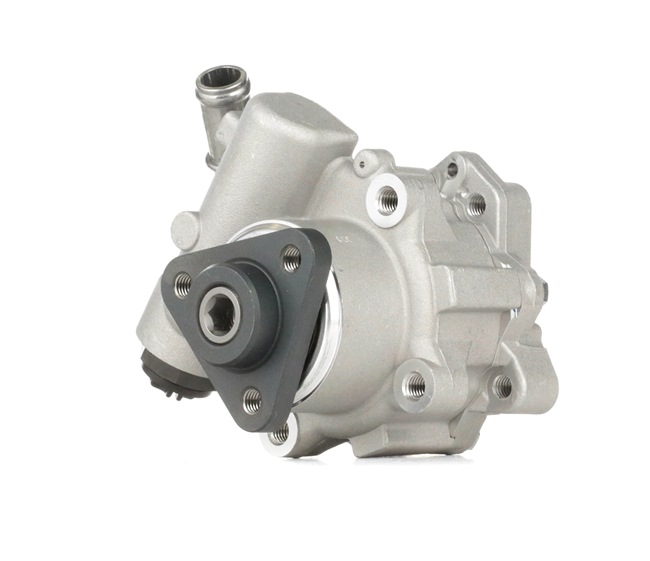 Elektrische Servopumpe 12H0110 RIDEX FORD Transit Mk5 Pritsche/Fahrgestell (V184, V185) 2.4 DI 2002 120 PS