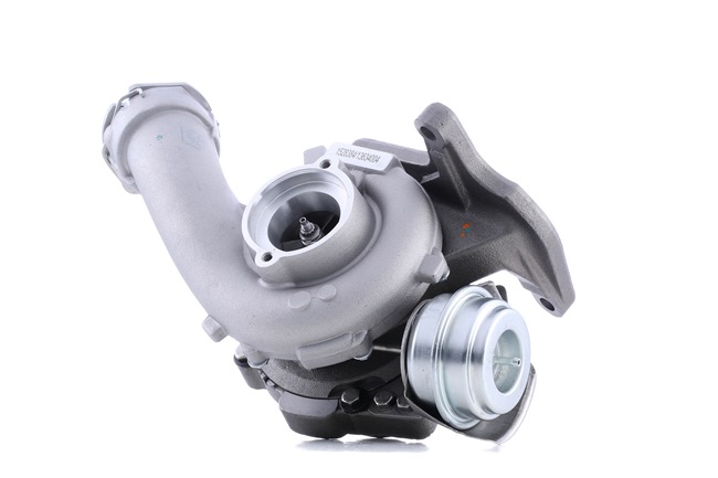 Turbolader 2234C0029 RIDEX Volkswagen Multivan T5 (7HM, 7HN, 7HF, 7EF, 7EM, 7EN) 2.5 TDI 2006 130 Pk