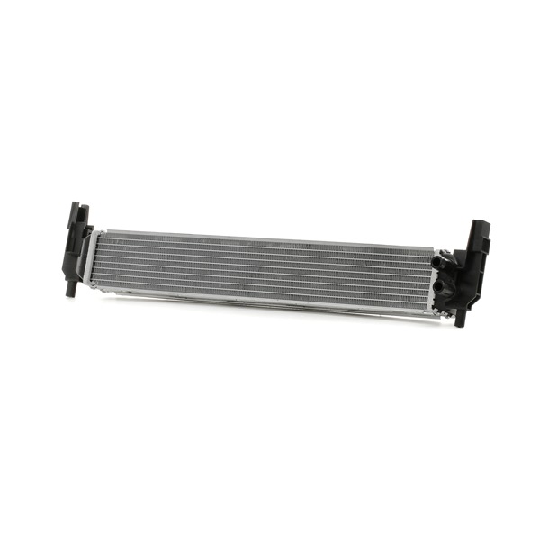 RIDEX 470R0671 Radiateur du moteur Seat Ibiza IV Sportcoupe