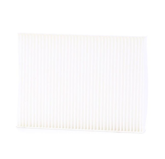 424I0395 RIDEX B0009775480 Pollen filter
