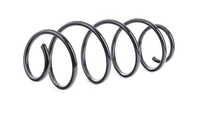 Feder 188C0456 RIDEX FIAT Stilo Multi Wagon (192) 1.4 16V 2004 95 PS