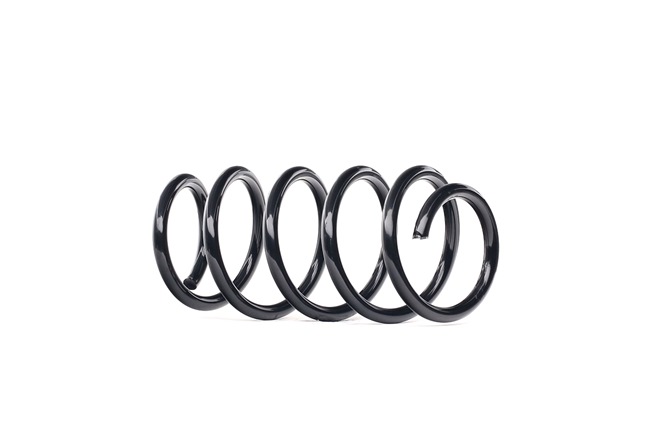RIDEX 188C0518 Opel Meriva x03 coil springs replacement cost