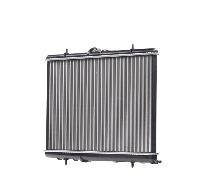 RIDEX | Radiator motor Aluminium 470R0805 CITROËN C5 II Stasjonsvogn 2005 billige på nett
