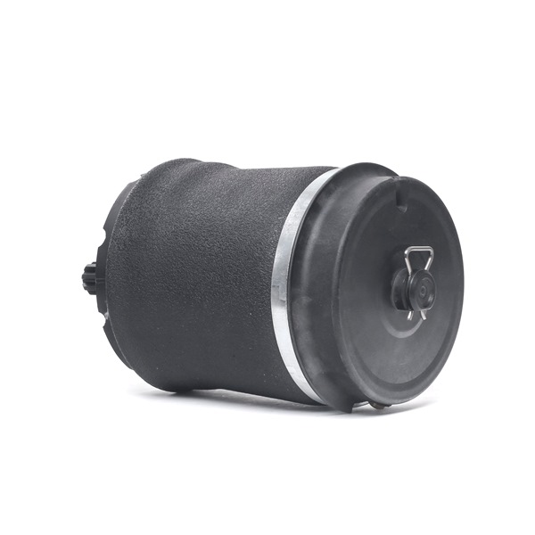 Numer OEM RKB500080K - Poduszka zawieszenia SKASS-1850024 LAND ROVER