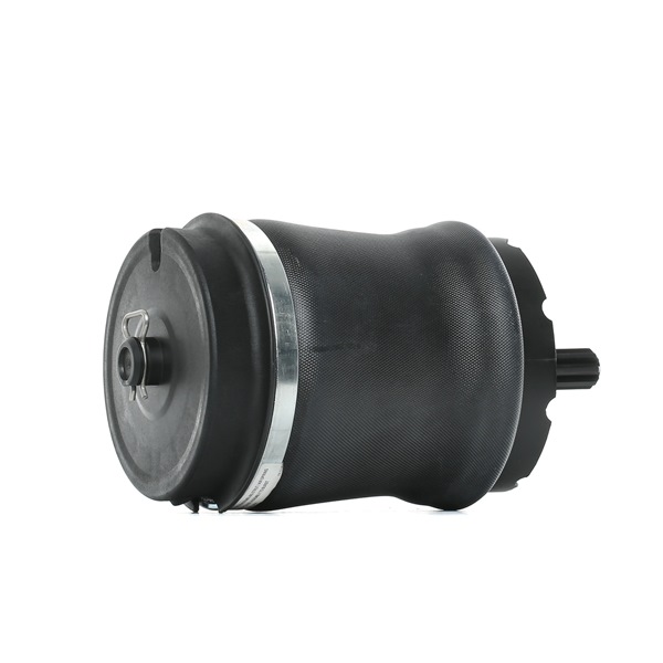 Numer OEM RKB500080K - Poduszka zawieszenia 4119A0024 LAND ROVER