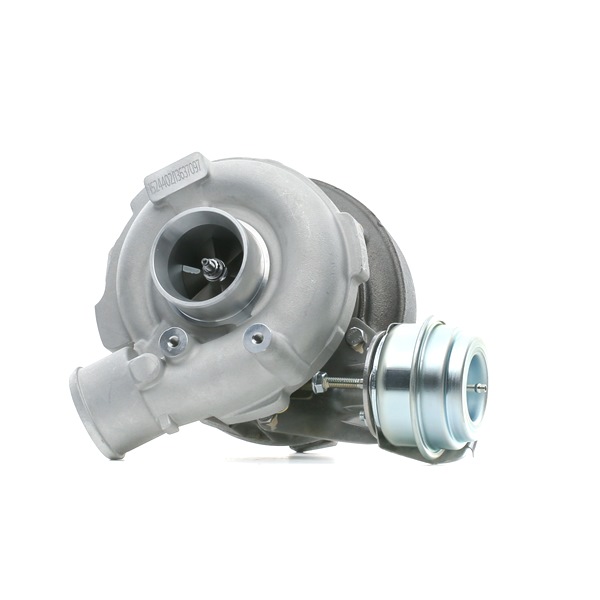 RIDEX | Turbolader med tetning, inkl. tetningssett 2234C0091 BMW 5 Sedan (E39) 2003 billige på nett