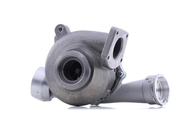 Turbolader 2234C0095 RIDEX Volkswagen Multivan T5 (7HM, 7HN, 7HF, 7EF, 7EM, 7EN) 2.5 TDI 2009 130 Pk