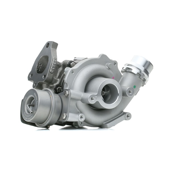 RIDEX | Turboaggregat 2234C0113 RENAULT Scénic III (JZ0/1_) 2014 billige på nett