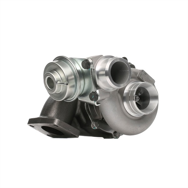 Turbolader 2234C0125 RIDEX Volkswagen Crafter 30-50 Flatbed Vrachtwagen/Chassis (2F) 2.5 TDI 2006 163 Pk