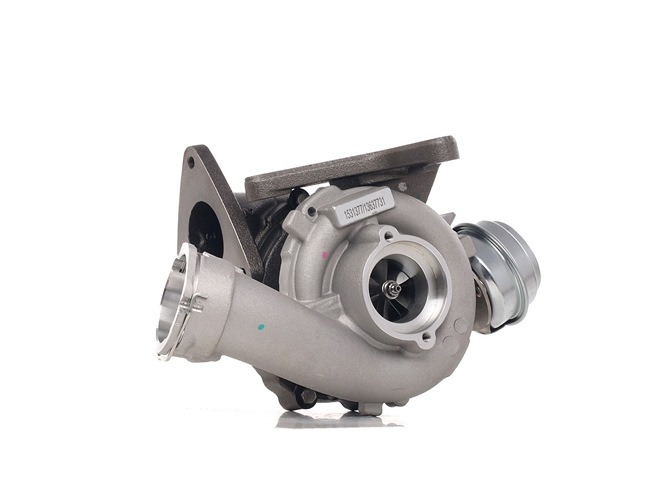 Turbolader 2234C0144 RIDEX Volkswagen Multivan T5 (7HM, 7HN, 7HF, 7EF, 7EM, 7EN) 2.5 TDI 2006 174 Pk