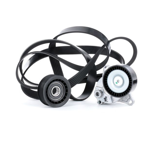 Jogo de correias trapezoidais estriadas 542R0042 RIDEX MERCEDES-BENZ Vito Minibus (W639) 115 CDI 4x4 (639.701, 639.705) 2011 150 cv