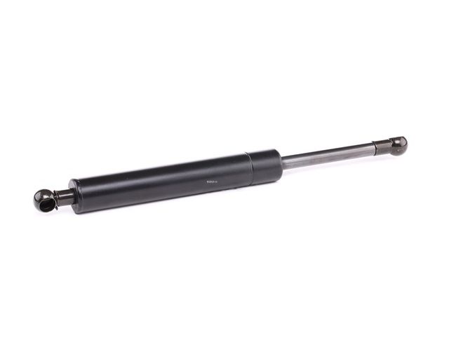 RIDEX 219G0502 Boot struts VOLVO V70 3 (BW) 2.0 T5 245 hp Petrol 2015