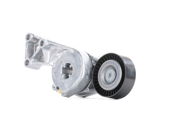 SKF | Rullo Tendicinghia VKM 31011 Volkswagen Passat B6 Variant (3C5) 2011 economici online