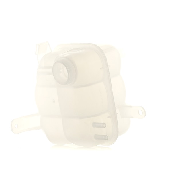 Expansietank 397E0105 RIDEX FORD Transit Mk5 Bus (V184, V185) 2.0 TDCi 2002 125 Pk